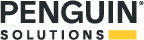 Penguin Solutions